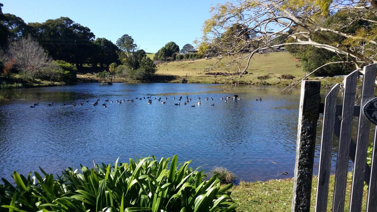 Maleny Homestead & Cottage Buitenkant foto